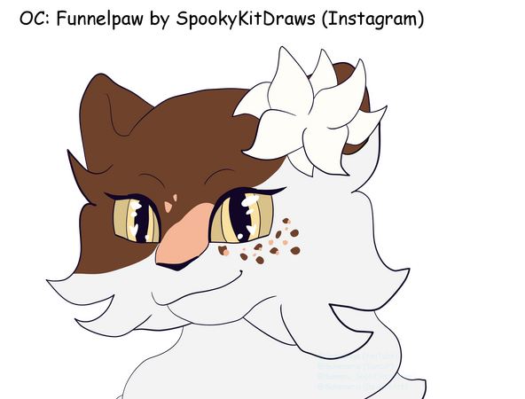 FunnelPaw
